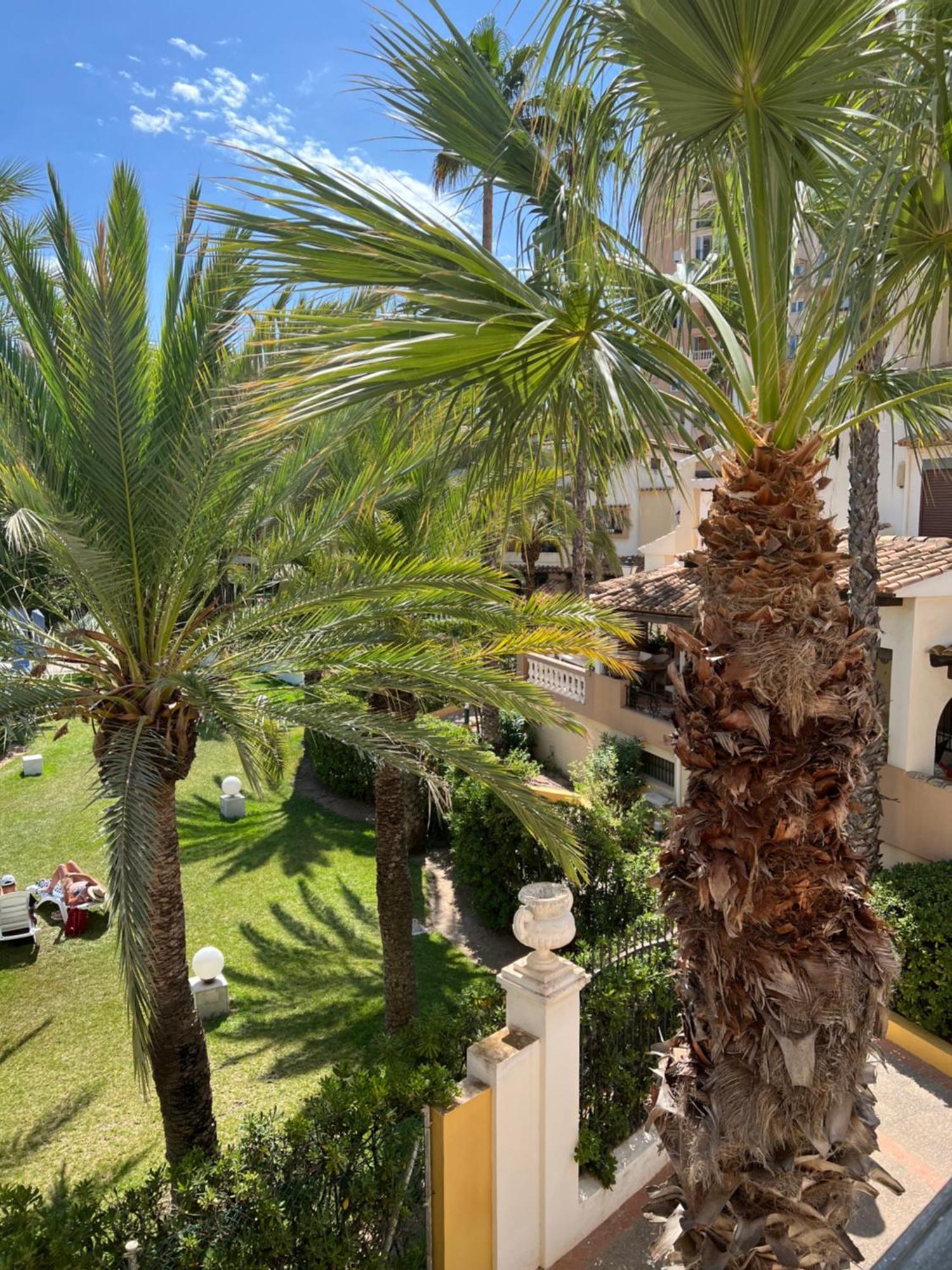 Casa Al Mare Aldea Apartman Torrevieja Kültér fotó